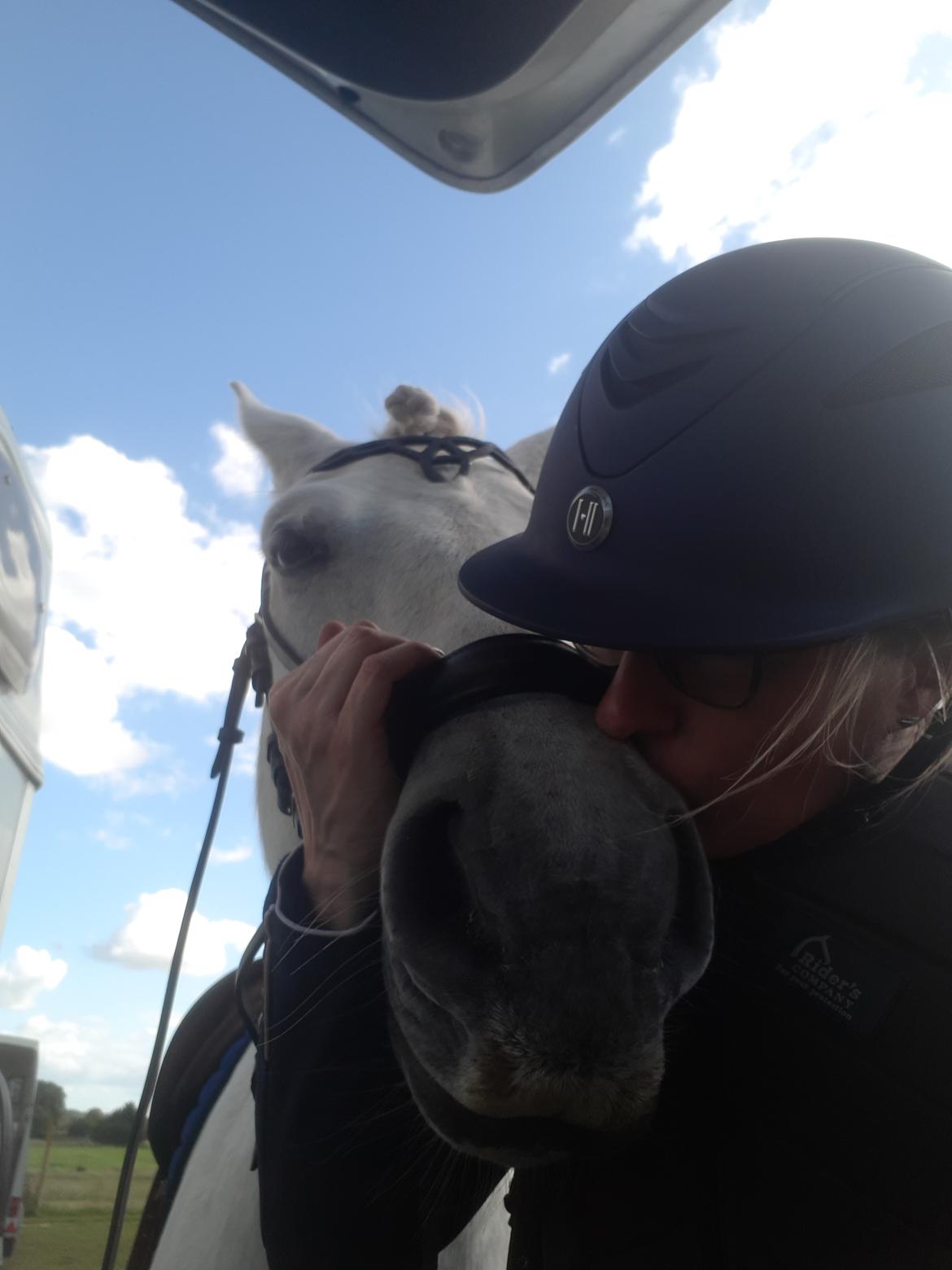 Anden særlig race MR. Mayson billede 20