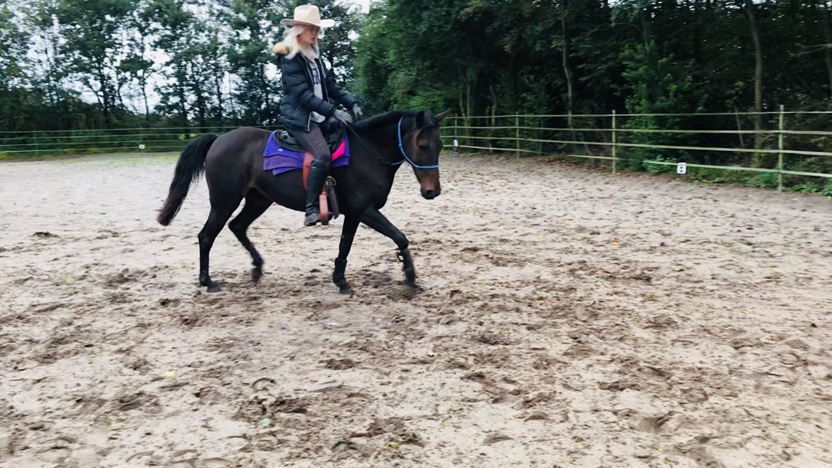 Anden særlig race UN~Kina billede 2