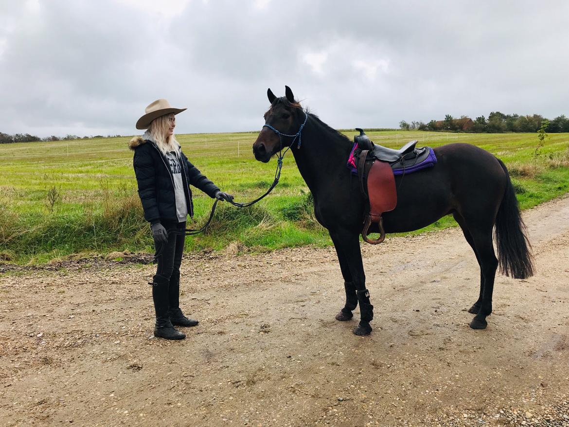 Anden særlig race UN~Kina billede 3