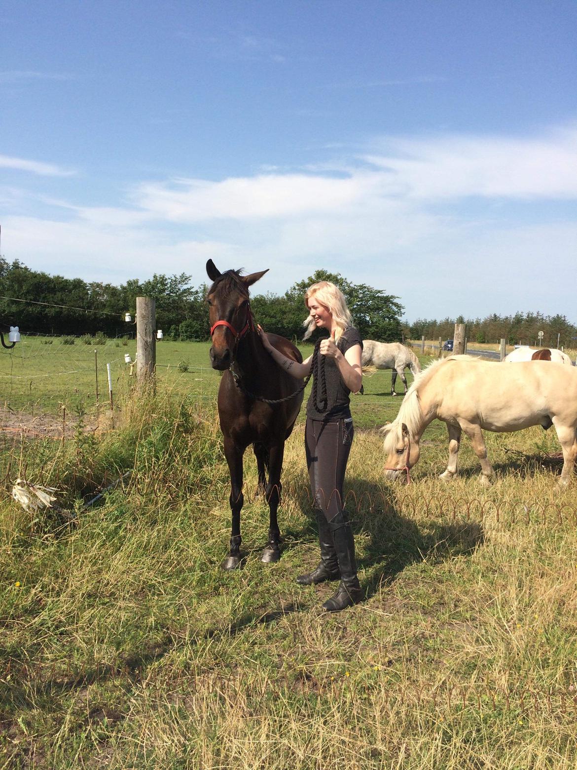 Anden særlig race UN~Kina billede 4