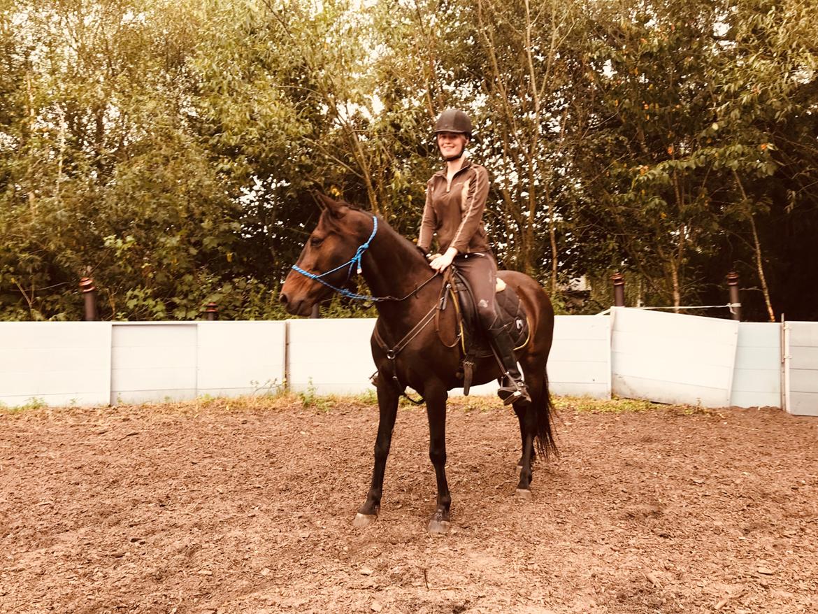 Anden særlig race UN~Kina billede 8