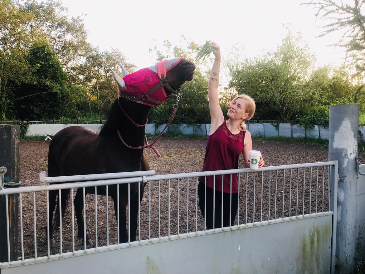 Anden særlig race UN~Kina billede 12