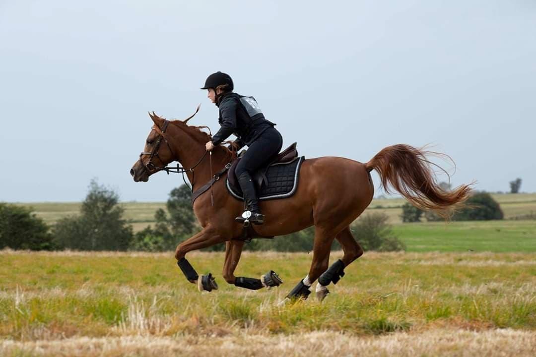 Arabisk fuldblod (OX) Ivalina Wind billede 32