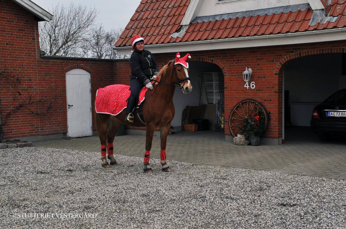 Frederiksborg Vestergårds Natalie billede 33