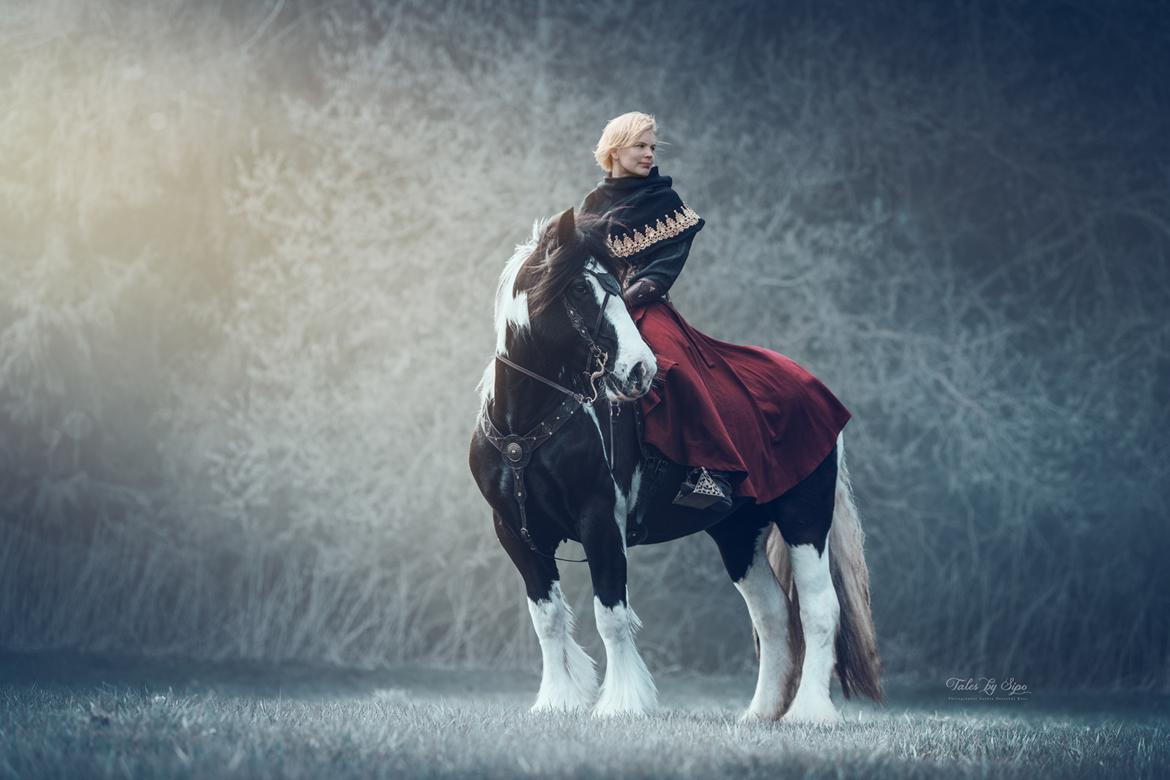 Irish Cob Mary's Prinsess by Lovecob - Fotograf: Tales by Sipo billede 15