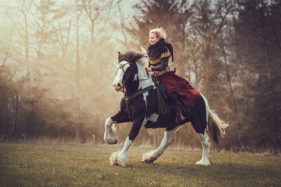 Irish Cob Mary's Prinsess by Lovecob - Fotograf: Tales by Sipo billede 20