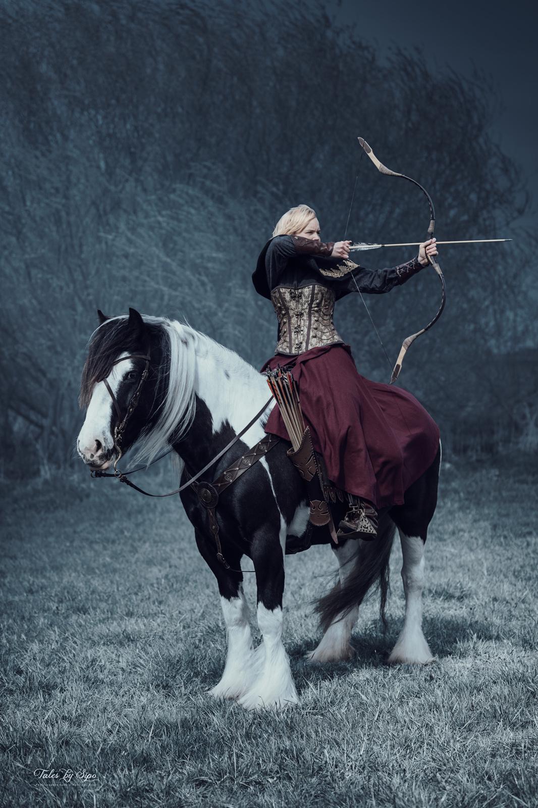 Irish Cob Mary's Prinsess by Lovecob - Fotograf: Tales by Sipo billede 16