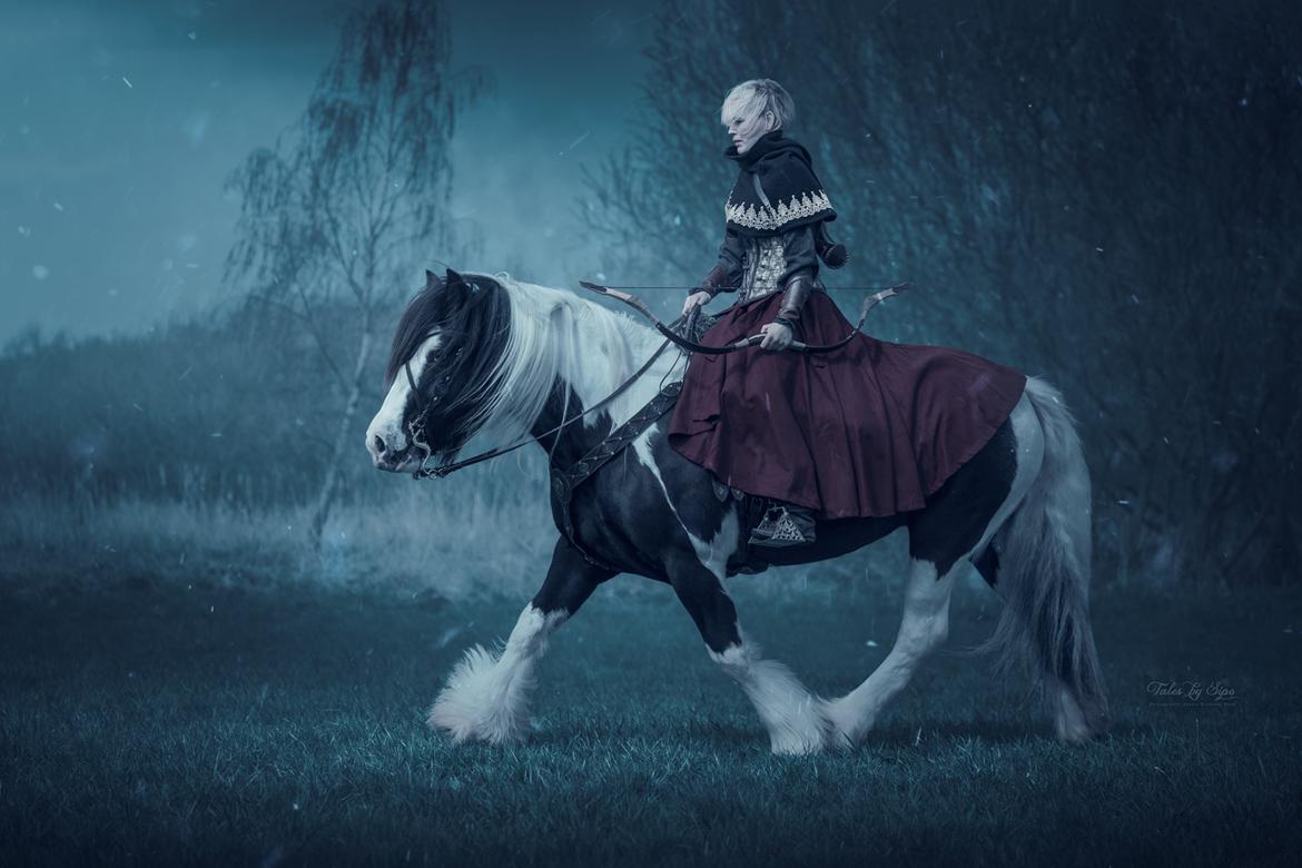 Irish Cob Mary's Prinsess by Lovecob - Fotograf: Tales by Sipo billede 19