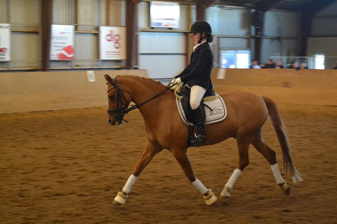 DSP Malu (solgt) billede 9