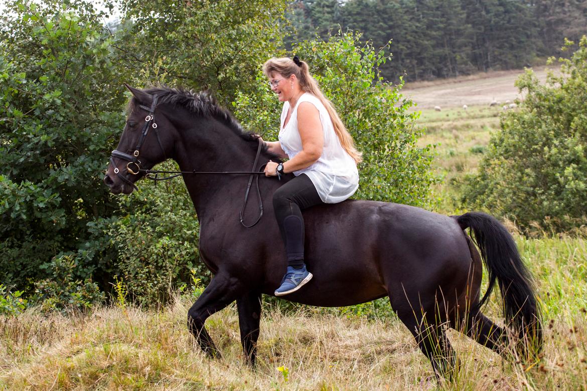 Oldenborg PATINA'S POWER GIRL solgt billede 18