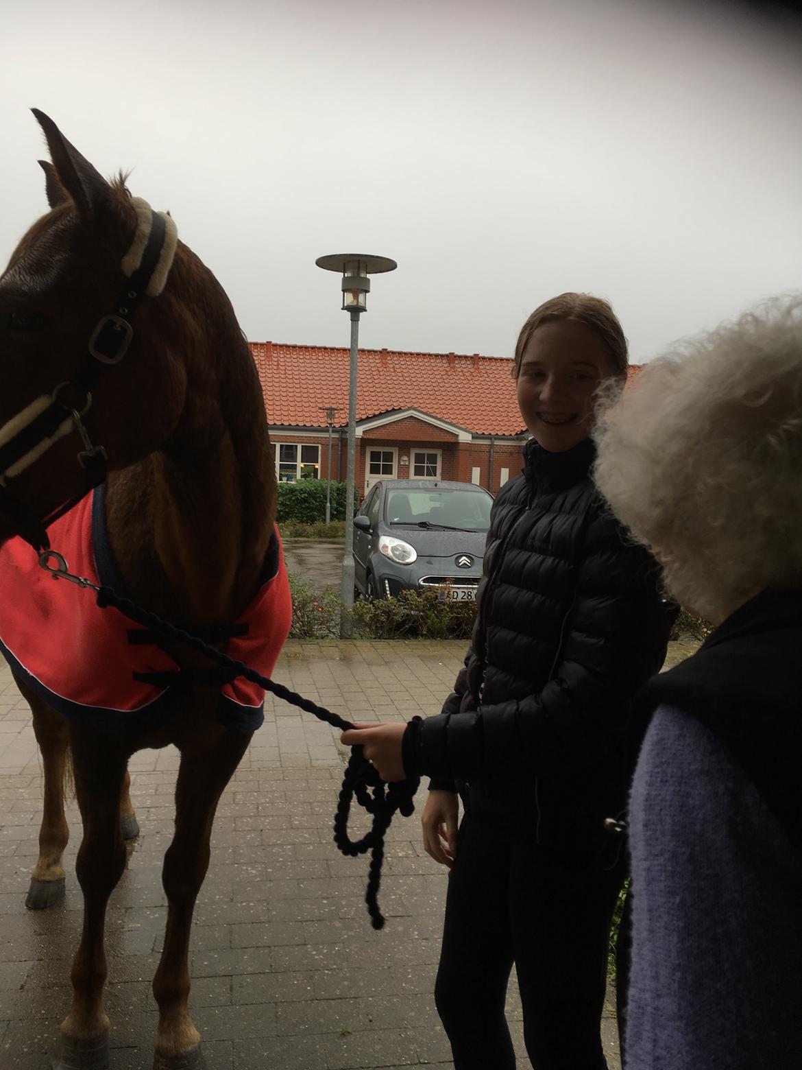 Anden særlig race Rubio billede 8