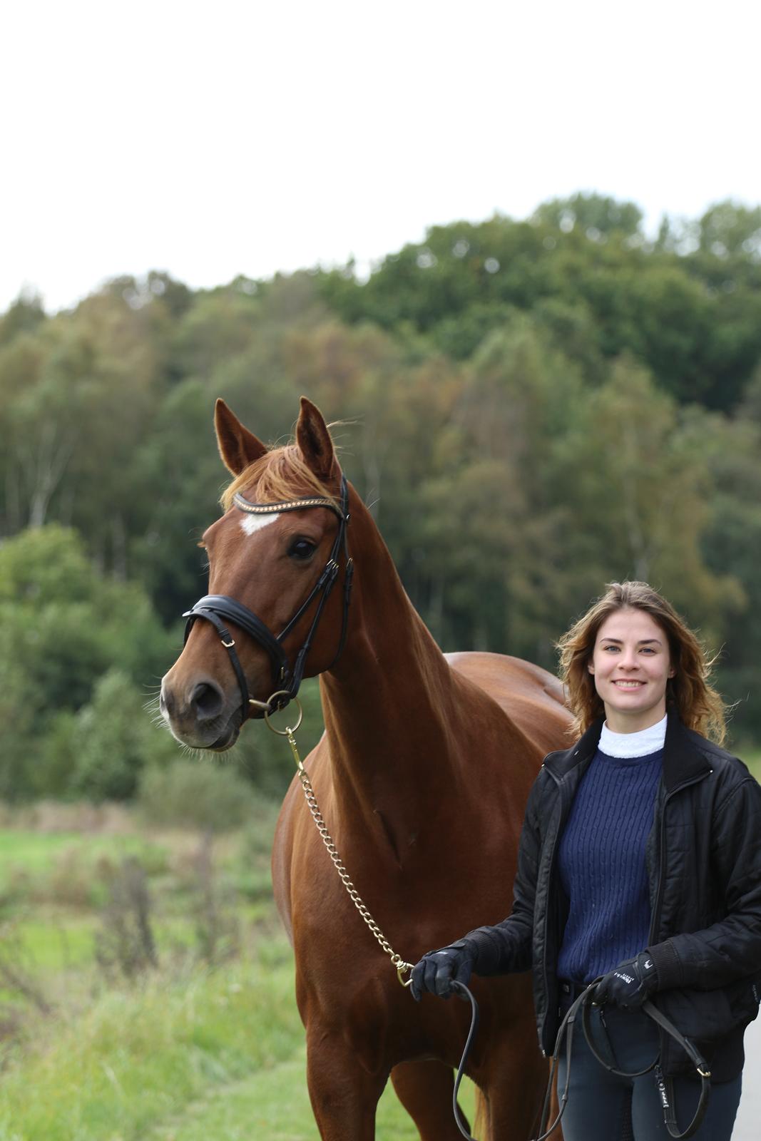 Dansk Varmblod Knunie's Zabella billede 14