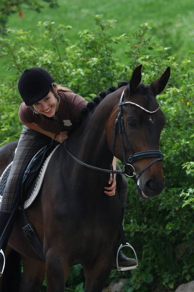 Dansk Varmblod Grønhøjs Montana<3 - Lyset i mit liv<3¨Foto: Pernille Kirstine - tak for billedet Pernille! billede 16