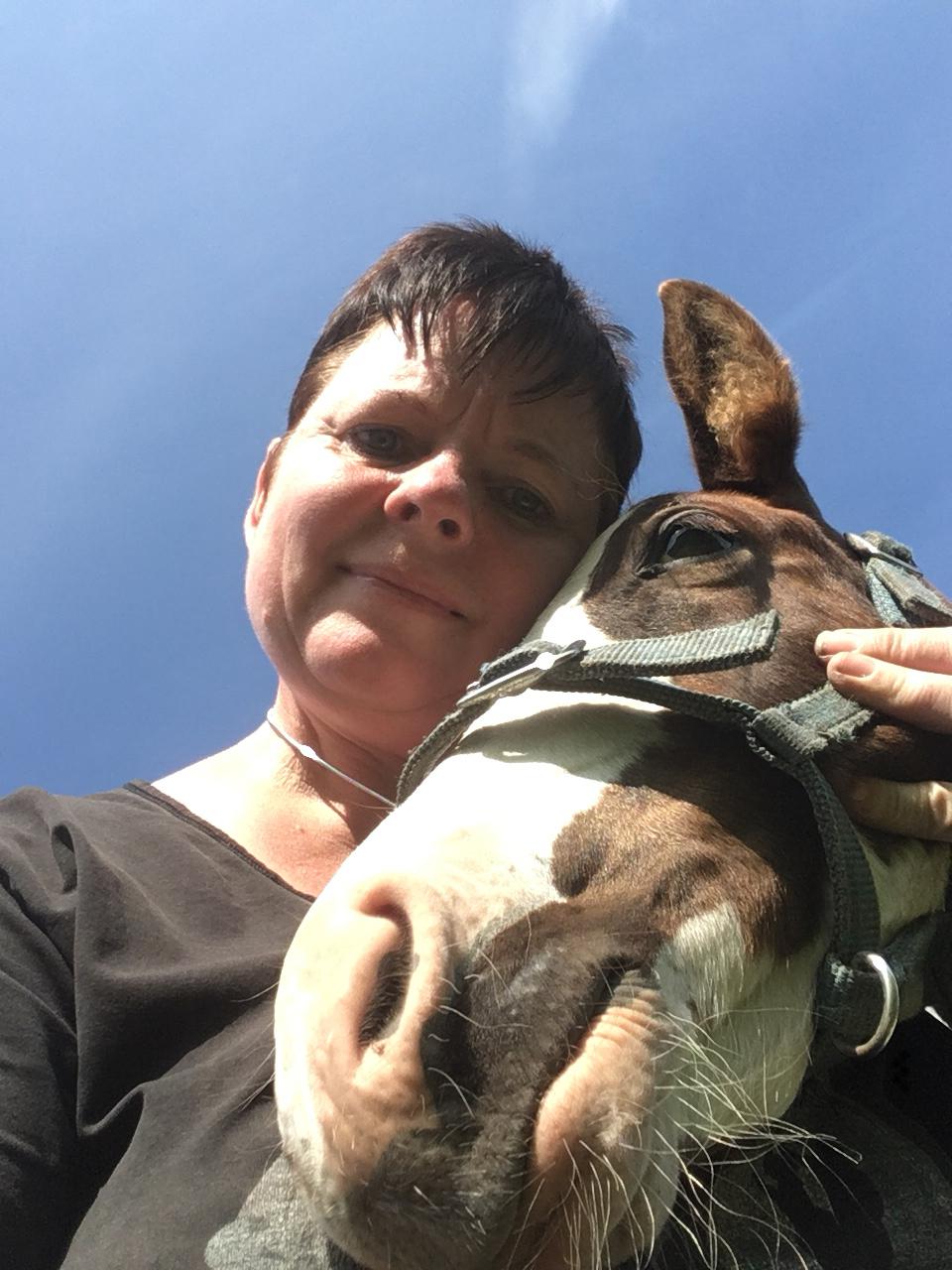 Pinto Lindegaardens Asterix the Sky. billede 9