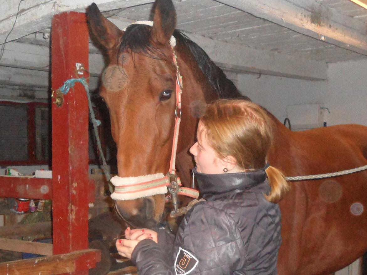 Traver Shiraz billede 3