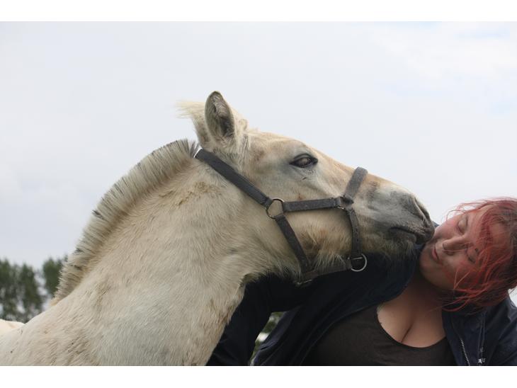 {{currentPhoto.altText}} billede {{currentPhoto.number}}