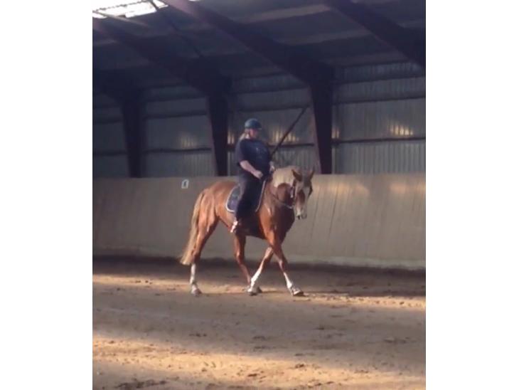 {{currentPhoto.altText}} billede {{currentPhoto.number}}