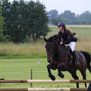 Oldenborg Svanegårds cookie