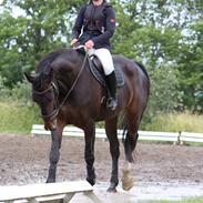 Oldenborg Svanegårds cookie