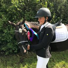 New Forest Odden's mohita