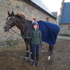 Dansk Varmblod Lipas Leonora 