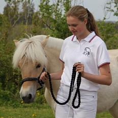 Fjordhest Lindelyst Donna