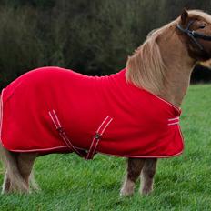 Shetlænder Østertofts Kurt