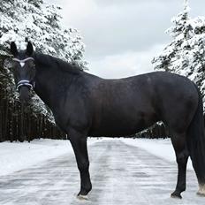 Oldenborg Maggie Tisted