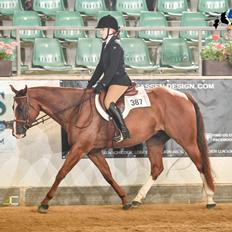 Paint Radicalackoflace