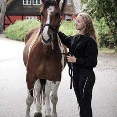 Anden særlig race Anton wilam
