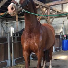 Frederiksborg Nytoftgaards delia