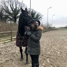 Oldenborg Schousboe's Rebus