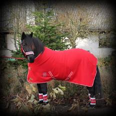 Anden særlig race Samson ( Rip 10 maj 2022 )