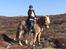Haflinger Wildfang-U-W