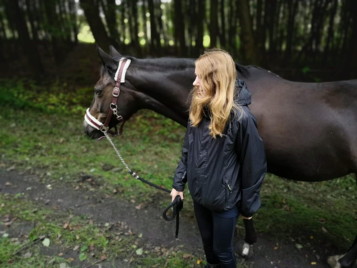 Tysk Sportspony | Etna | *Lille Pigen* |  billede 30