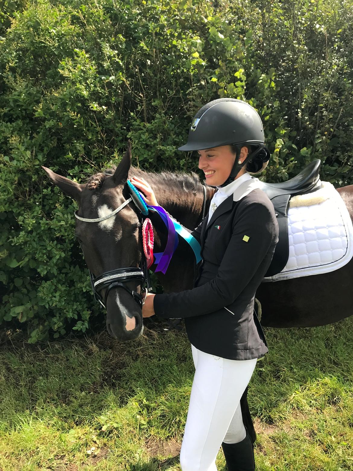 New Forest Odden's mohita - 4/4 rosetter billede 2