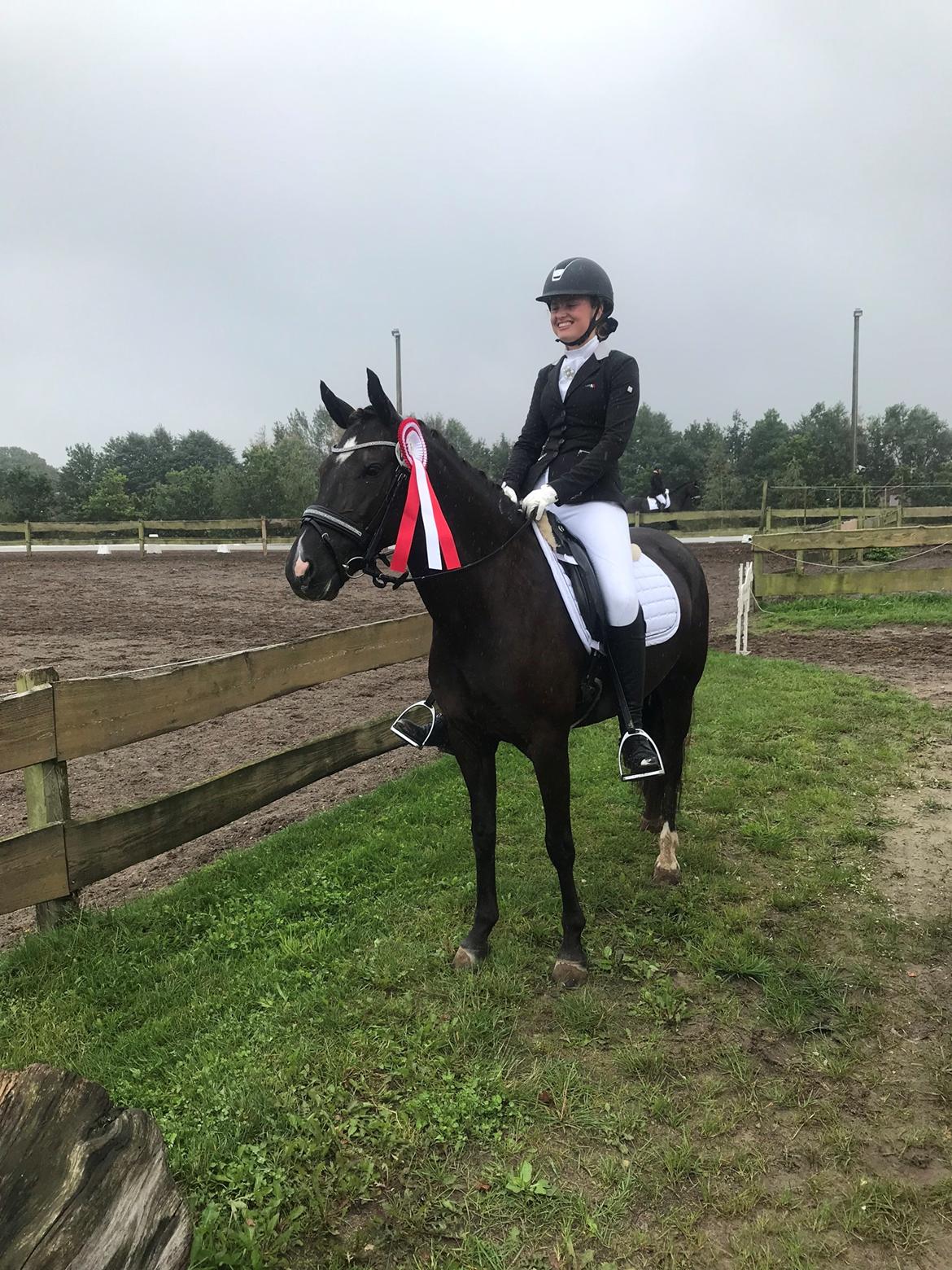 New Forest Odden's mohita - Vinder igen LA1 billede 4