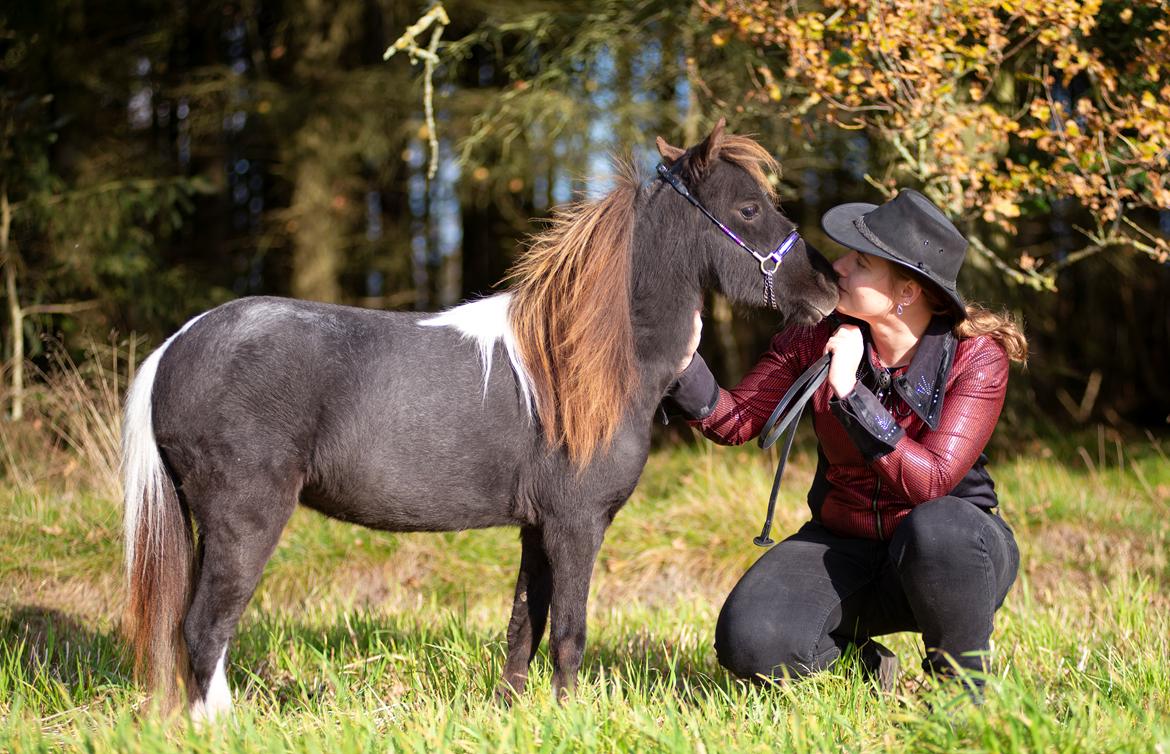 Amerikansk Miniature Teglmosens Delilah West billede 17