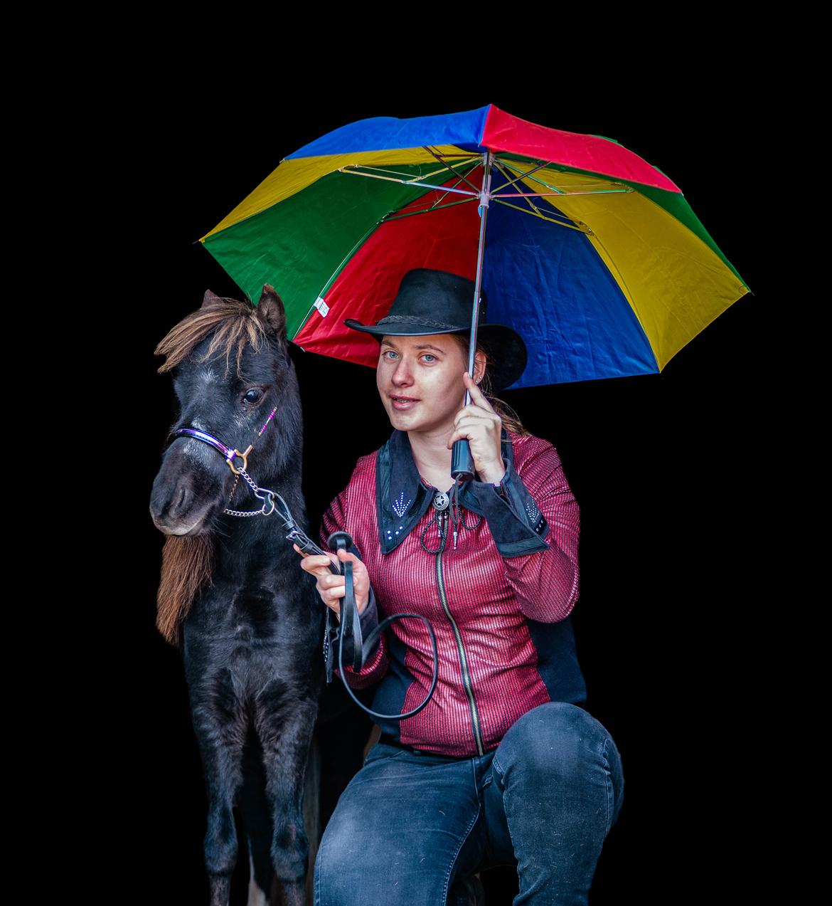 Amerikansk Miniature Teglmosens Delilah West billede 3