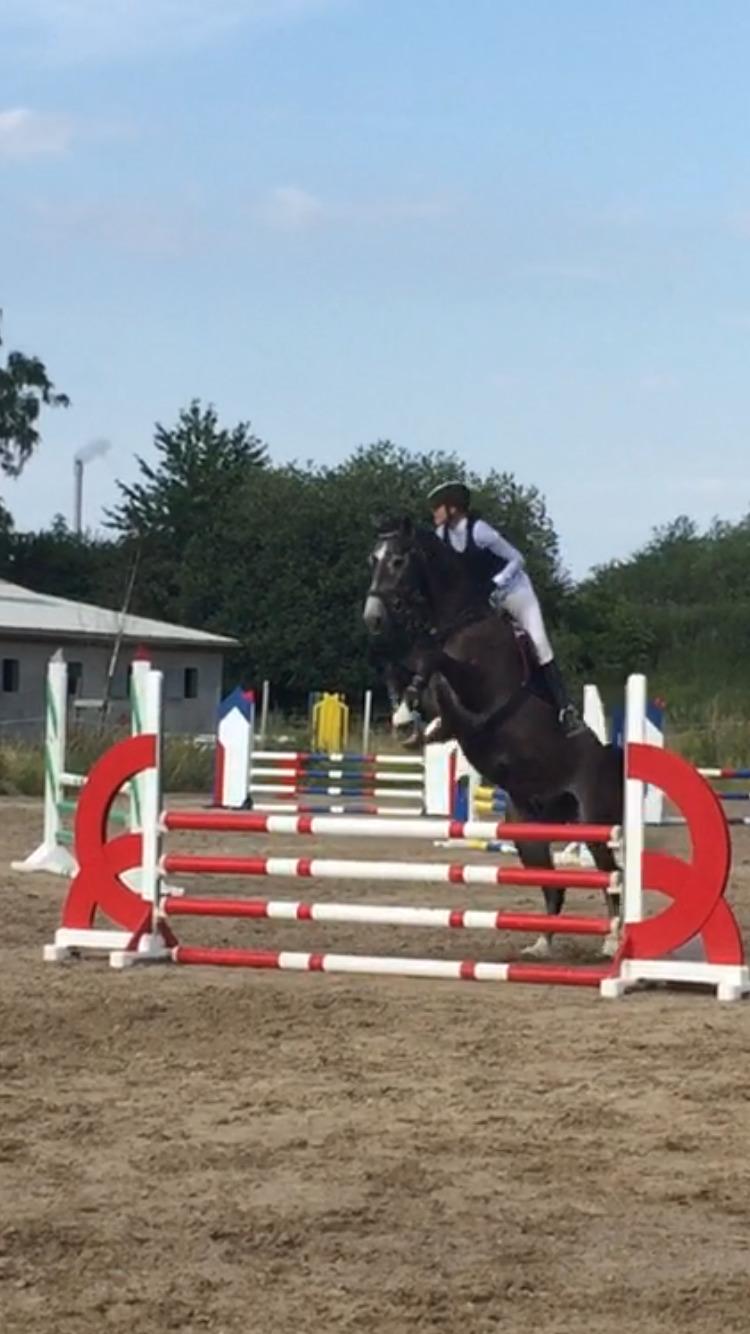 Holstener Courage billede 1