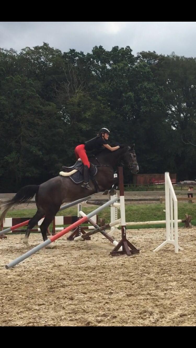 Holstener Courage billede 3