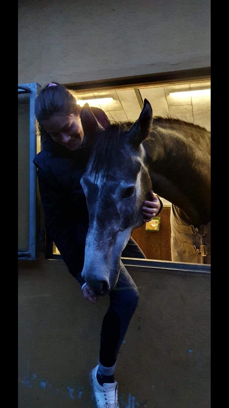 Holstener Courage billede 4