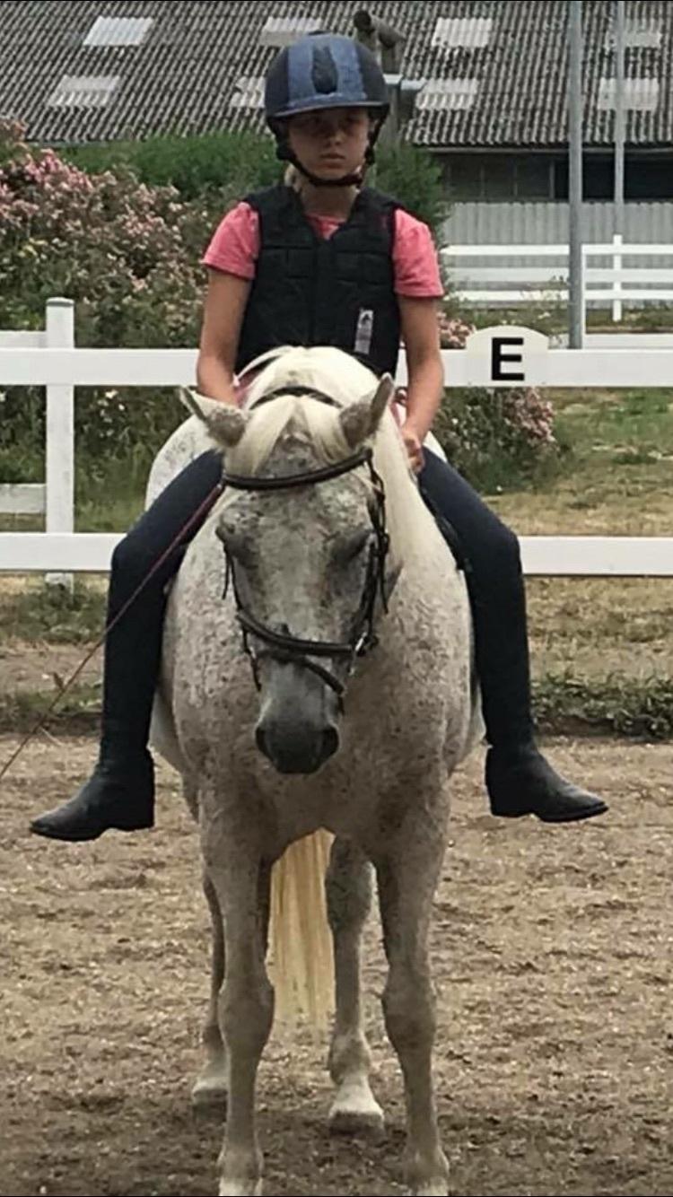 Anden særlig race Carlo billede 3