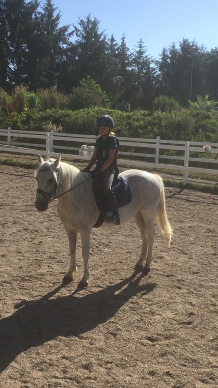 Anden særlig race Carlo - Ridelejr på strålen 2018 billede 5