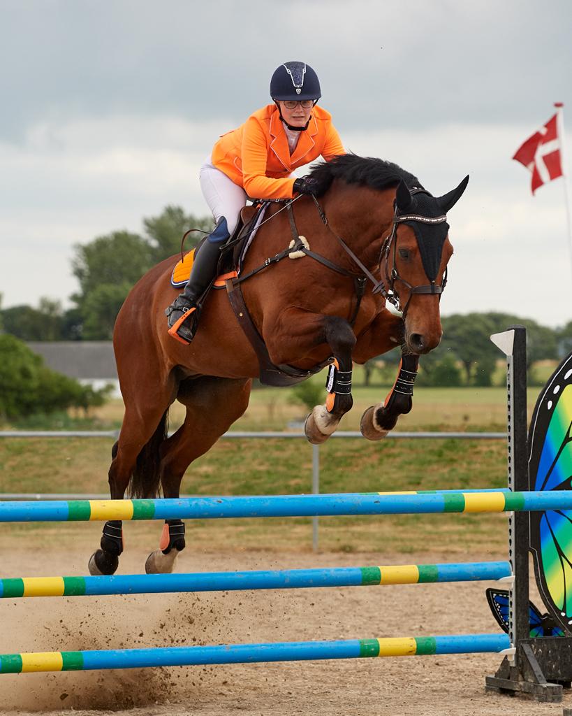 Dansk Varmblod • LERO NYGÅRDSTOFT • - LB**, 3. plads - MBRK, juni 2018 billede 12