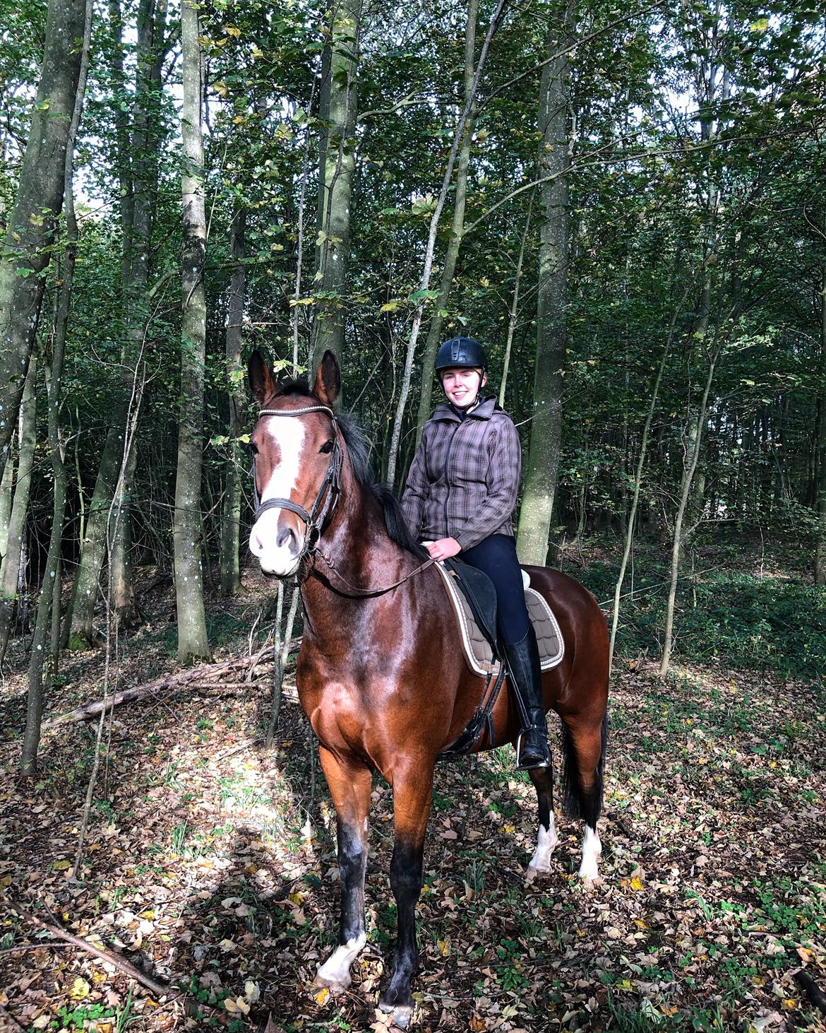 Anden særlig race Marguerit's nemo billede 6
