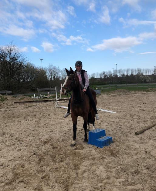 Anden særlig race Marguerit's nemo billede 15