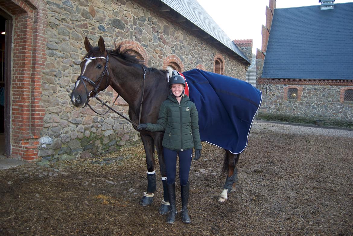 Dansk Varmblod Lipas Leonora  billede 1