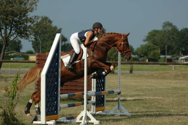 Frederiksborg Rasmus billede 4