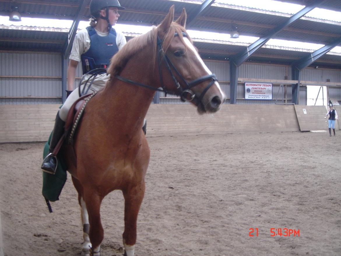 Frederiksborg Rasmus billede 5